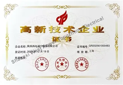 В 2026 году компания XDTZ ELECTRIC получила сертификат высокотехнологичного п...